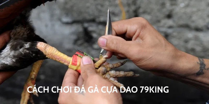 Thành viên cần nắm vững cách chơi để tham gia hiệu quả
