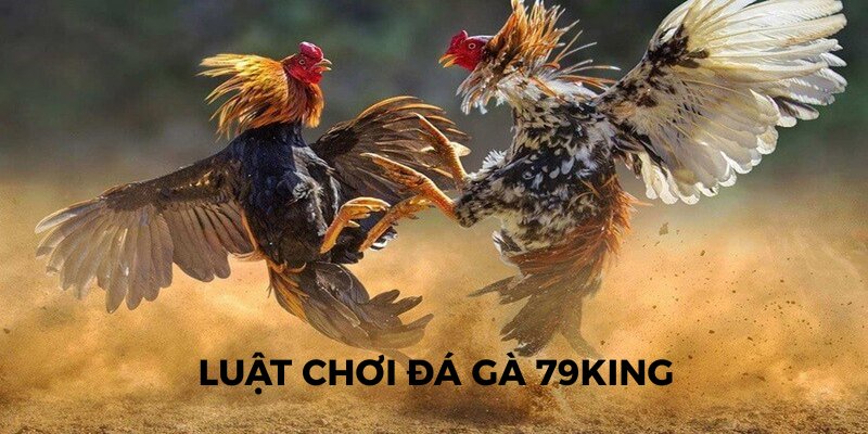 Luật chơi đá gà 79King mà hội viên nào cũng cần nắm rõ