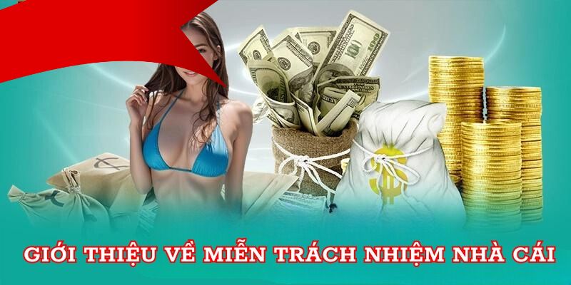 Quyền lợi miễn trách nhiệm 79king