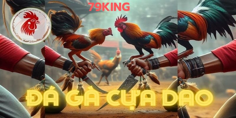 Tìm hiểu đôi nét về bộ môn đá gà cựa dao đầy kịch tính tại 79King